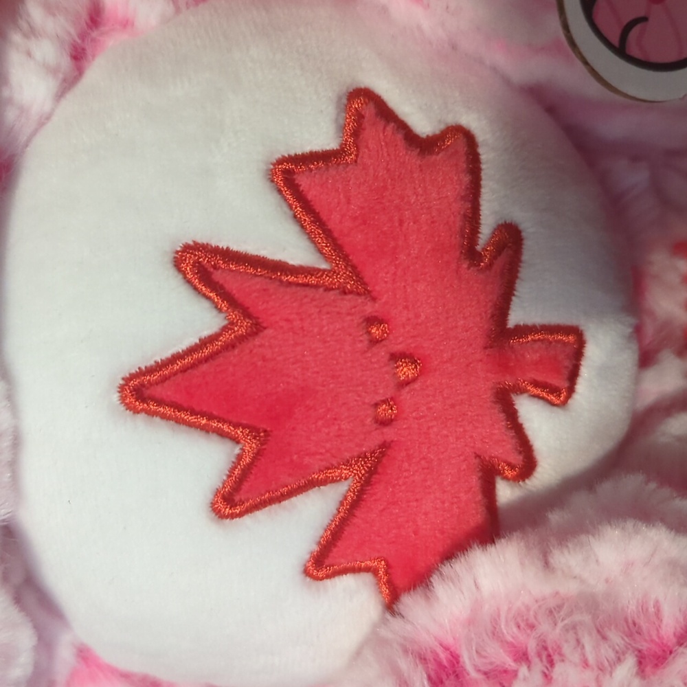 Care Bears Brand New True North Bear - Picture 9 of 13